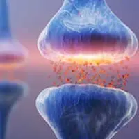 Audifort ingredient-6